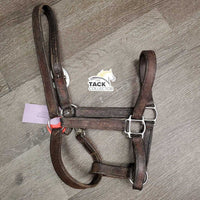 Thick Leather Halter, snap *gc/fair, stiff, scraped edges, dry, stains, older, residue