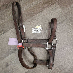 Thick Leather Halter, snap *gc/fair, stiff, scraped edges, dry, stains, older, residue