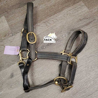 FS Padded Double Leather Halter, snap, adj *gc/fair, repaired throat, cracking, dirt, residue