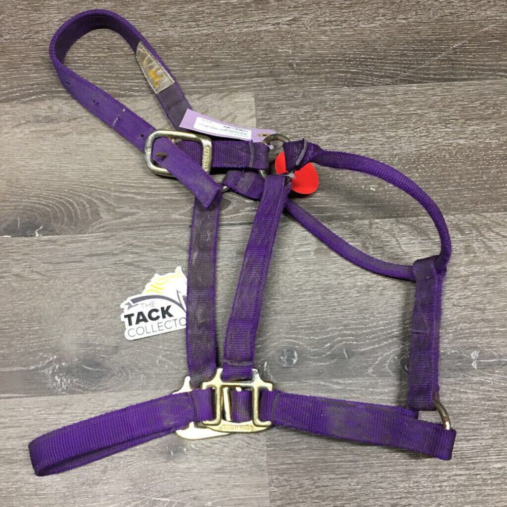Stiff Nylon Halter *gc, dirty, stained, dents, threads/frays