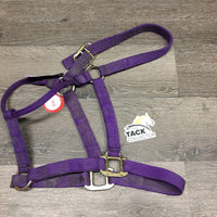 Stiff Nylon Halter *gc, dirty, stained, dents, threads/frays
