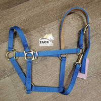 Narrow Stiff Nylon Halter, suede lined crown, snap *vgc, clean, mnr stains & edge rubs
