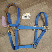 Narrow Stiff Nylon Halter, suede lined crown, snap *vgc, clean, mnr stains & edge rubs

