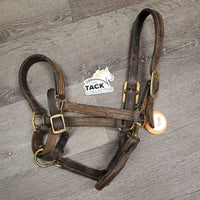 Narrow Thick Leather Halter, snap, adj *fair, clean, v.dry, stiff, scrapes, faded, slices, cracks, stains