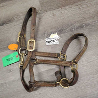 Narrow Thick Leather Halter, snap, adj *fair, clean, v.dry, stiff, scrapes, faded, slices, cracks, stains
