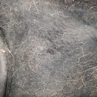 Pr Open Front Boots *gc/fair, dirt?stains, hair, loose/unglued lining, scuffs, faded, scuffs, scrapes