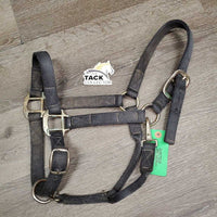 Thick Nylon Halter, snap, adj *gc, faded, frayed holes, stains, dirty, older
