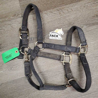Thick Nylon Halter, snap, adj *gc, faded, frayed holes, stains, dirty, older
