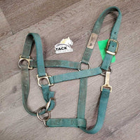 Nylon Halter, Spring Snap, adj *gc, stiff, dirt, faded, stains, rust, stiff

