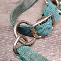 Nylon Halter, Spring Snap, adj *gc, stiff, dirt, faded, stains, rust, stiff

