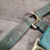 Nylon Halter, Spring Snap, adj *gc, stiff, dirt, faded, stains, rust, stiff
