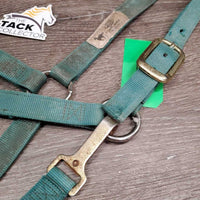 Nylon Halter, Spring Snap, adj *gc, stiff, dirt, faded, stains, rust, stiff
