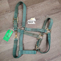 Nylon Halter, Spring Snap, adj *gc, stiff, dirt, faded, stains, rust, stiff
