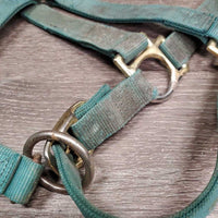 Nylon Halter, Spring Snap, adj *gc, stiff, dirt, faded, stains, rust, stiff
