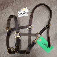 Padded Leather Halter, adj, snap *gc, rubs, scrapes, clean, stretched?
