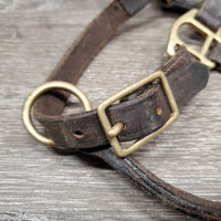Padded Leather Halter, adj, snap *gc, rubs, scrapes, clean, stretched?
