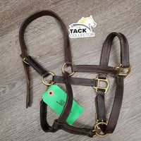 Padded Leather Halter, adj, snap *gc, rubs, scrapes, clean, stretched?
