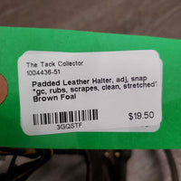 Padded Leather Halter, adj, snap *gc, rubs, scrapes, clean, stretched?
