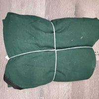 Hvy Cotton Stable Sheet, "N.T.R.C '99", 0 legs *gc, shrunk, repairs, mnr hair, dirt, threads, puckers, snags, stains
