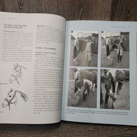 Pony Club - The Manual of Horsemanship, 14th edition *gc, inscribed, mnr bent edges & corners
