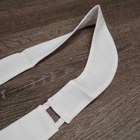 Stock Tie, bag *new, older
