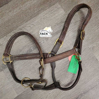 Soft Padded Leather Halter, adj, snap *vgc/gc, clean & dirty/film, faded, curled end, mnr rubs, stains & scrapes
