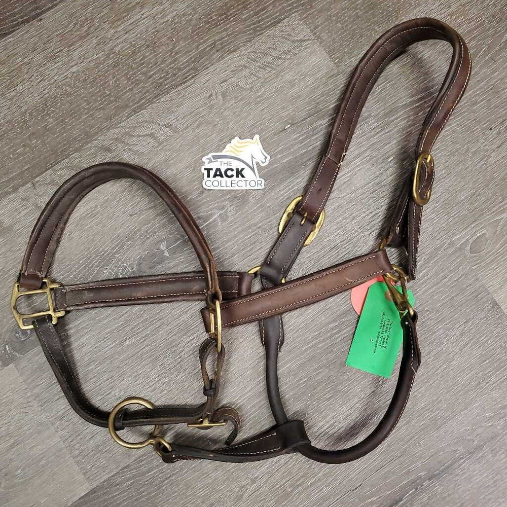Soft Padded Leather Halter, adj, snap *vgc/gc, clean & dirty/film, faded, curled end, mnr rubs, stains & scrapes