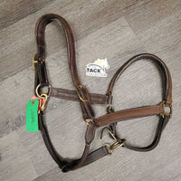 Soft Padded Leather Halter, adj, snap *vgc/gc, clean & dirty/film, faded, curled end, mnr rubs, stains & scrapes
