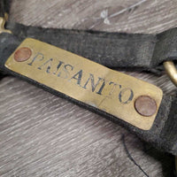 Thick Nylon Halter, attach Nylon Lead Rope "Paisanito & Polo Farm" *fair, rubs, dirty, dingy, rusty, hair
