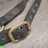 Thick Nylon Halter, attach Nylon Lead Rope "Paisanito & Polo Farm" *fair, rubs, dirty, dingy, rusty, hair