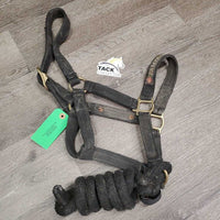 Thick Nylon Halter, attach Nylon Lead Rope "Paisanito & Polo Farm" *fair, rubs, dirty, dingy, rusty, hair
