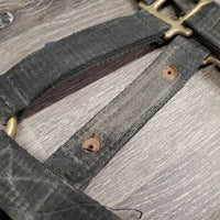 Thick Nylon Halter, attach Nylon Lead Rope "Paisanito & Polo Farm" *fair, rubs, dirty, dingy, rusty, hair