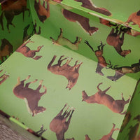 Cardboard Gift - Storage Box, Lid *gc, dirty, stains, torn edge
