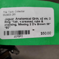 Anatomical Girth, x2 els, D Ring *fair, v.creased, rubs & cracking, Missing 2 D's