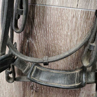 Thick Soft Dressage Double Bridle, Crank, Crown Buckle, Gem Browband *gc/vgc, older, dirty, residue, creases
