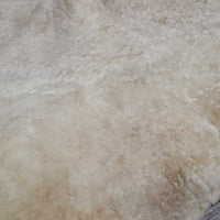 Shimmable Quilt Sheepskin Half Pad, rolled edge *gc, 0 shims, cut tabs, clean, stains, pills, clumpy, mnr dingy, puckers, threads
