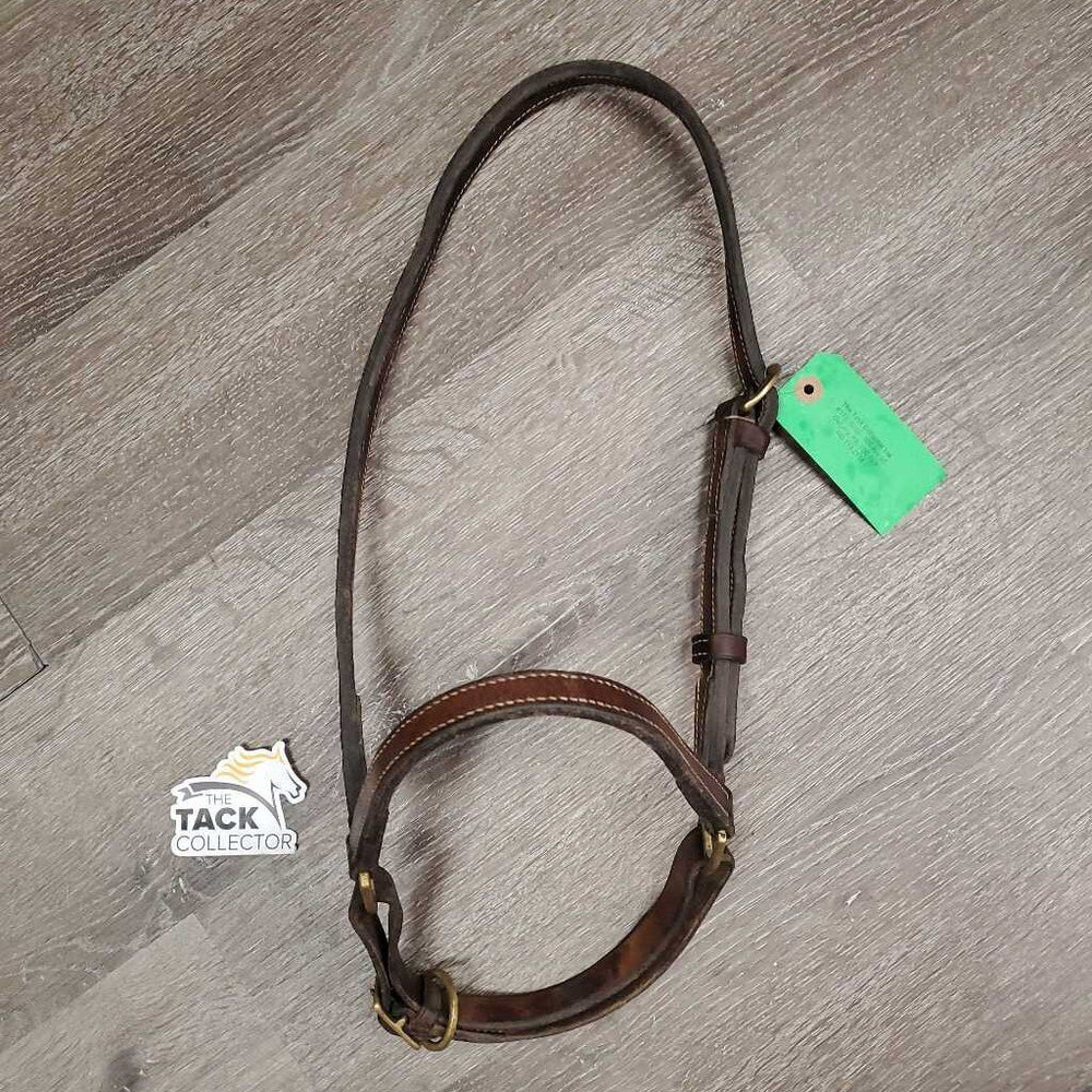 Thick Double Leather Grooming Halter, Lg Buckle *vgc/gc, clean, faded, scrapes, dented sided, stiff