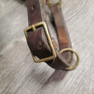 Thick Double Leather Grooming Halter, Lg Buckle *vgc/gc, clean, faded, scrapes, dented sided, stiff