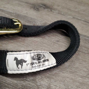 Thick Soft Nylon Halter, adj, snap *like new, mnr scratches