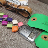 "Chicklet" Western Browband, 2 Leather Bridle Attachments *like new, stickers
