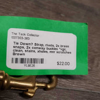 Tie Down? Strap, rivets, 2x brass snaps, 2x conway buckles *vgc, clean, stains, xholes, mnr scratches