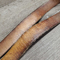 Pr Perforated v.soft Leather Half Chaps, Back Zips *vgc, clean, mnr rubs
