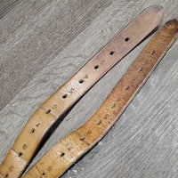 Pr Perforated v.soft Leather Half Chaps, Back Zips *vgc, clean, mnr rubs
