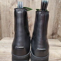 MENS Paddock Boots, Zips, Box, tag *new