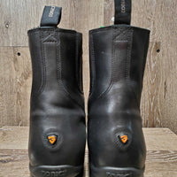 Paddock Boots, Laces, Side Zips, Box, Tag *new
