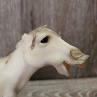 Decorative Laughing Ceramic Horse *gc, broken ear, dusty
