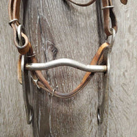 Flat Leather Headstall, Curb Bit, Pr Split Reins *fair, older, stains, dry, stiff, creased, rusty, clean
