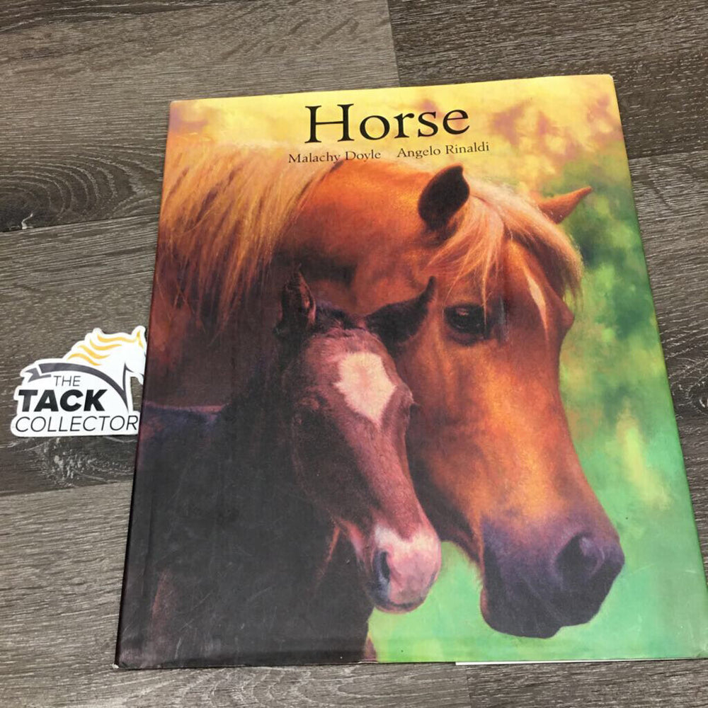 Horse by Malachy Doyle & Angelo Rinaldi *fair, stains, torn & bent corner, rubs, scratches, inscribed