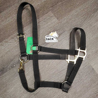 Stiff Nylon Halter, snap *vgc, dirt, residue, hair
