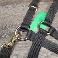 Stiff Nylon Halter, snap *vgc, dirt, residue, hair
